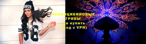 метамфетамин Богданович